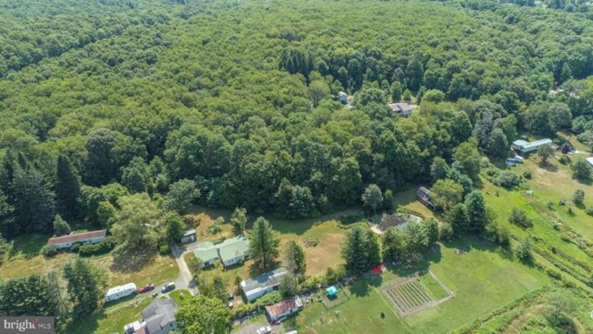 Picture of Residential Land For Sale in Oakland, Maryland, United States