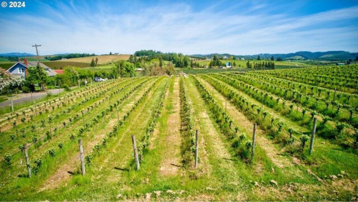 Picture of Home For Sale in Yamhill, Oregon, United States