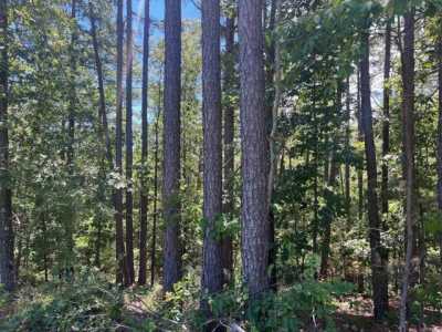 Residential Land For Sale in Mountain View, Arkansas