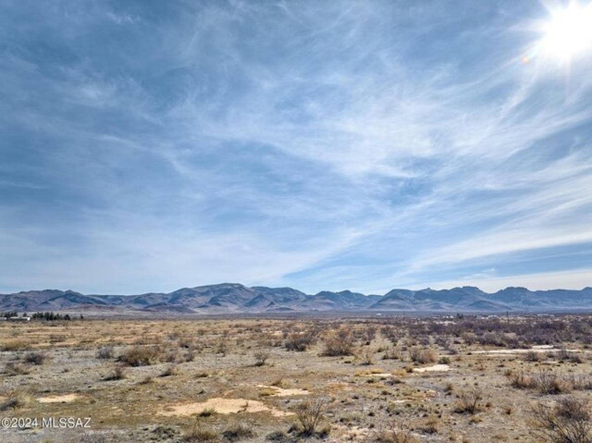 Picture of Residential Land For Sale in Portal, Arizona, United States