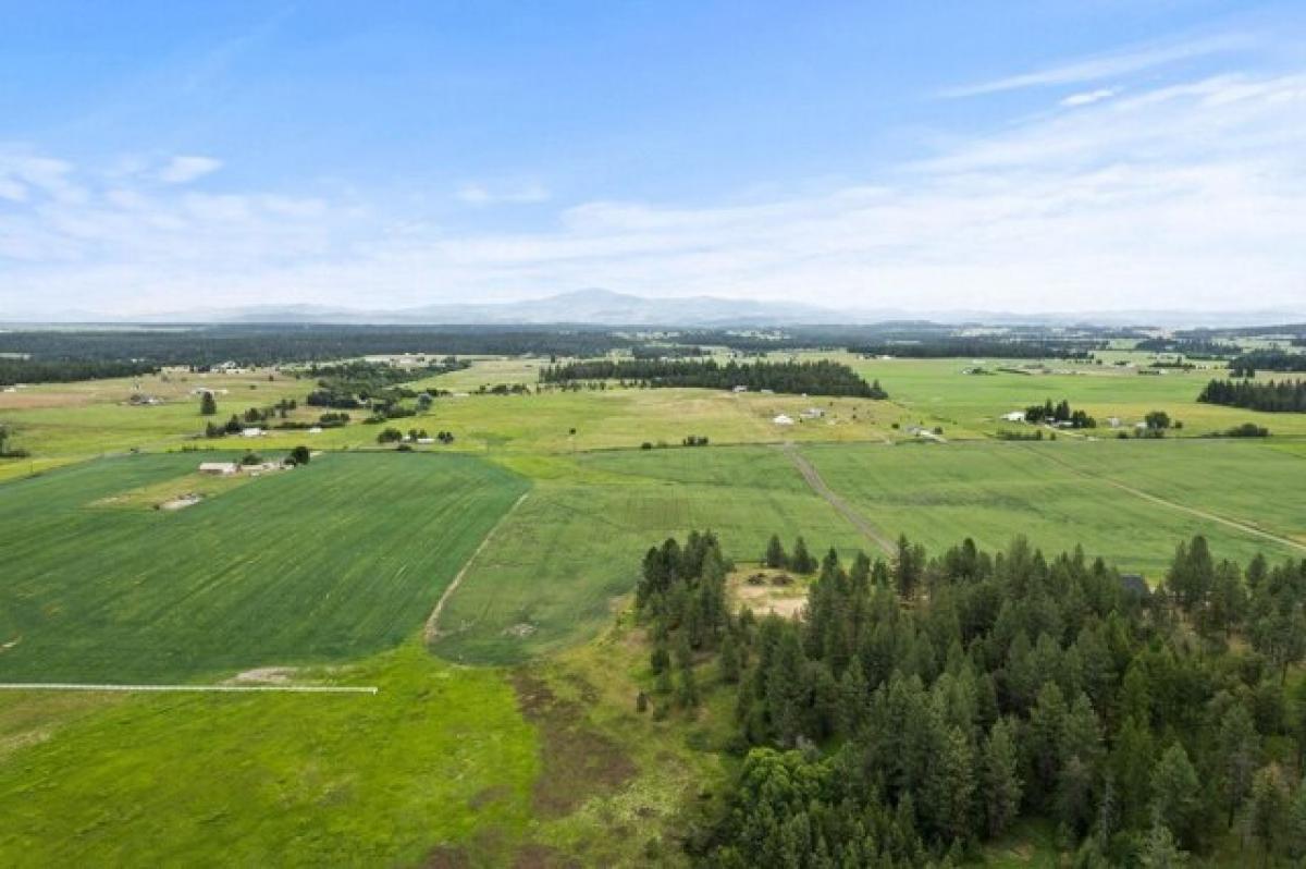 Picture of Residential Land For Sale in Deer Park, Washington, United States