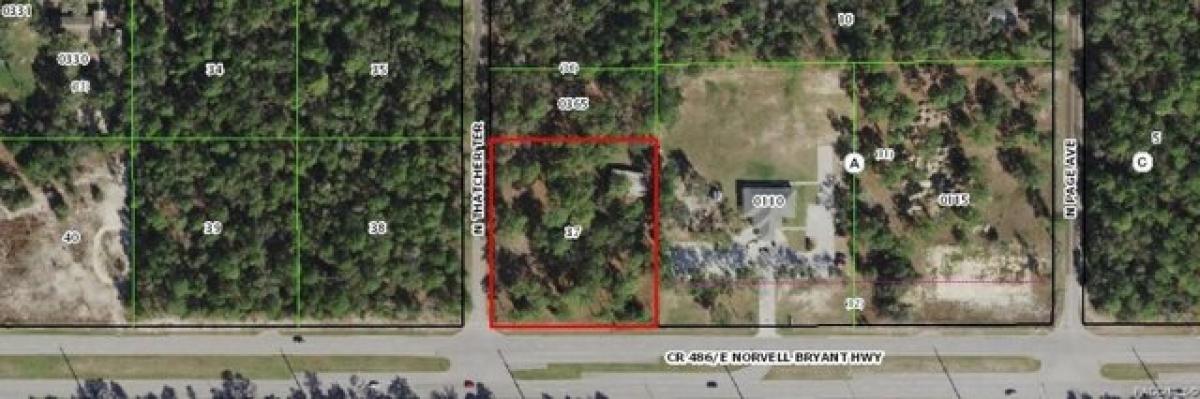 Picture of Residential Land For Sale in Hernando, Florida, United States