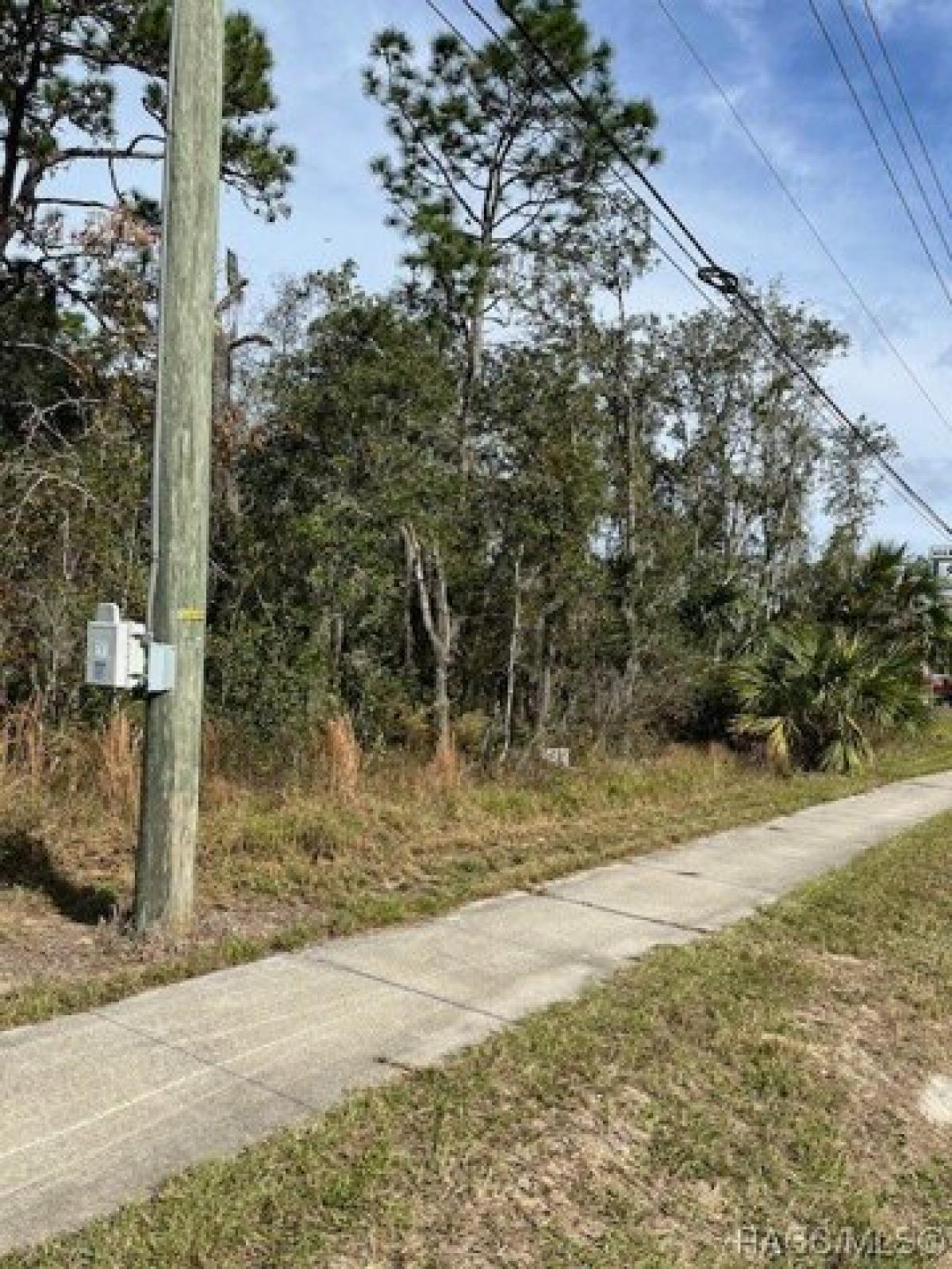 Picture of Residential Land For Sale in Lecanto, Florida, United States