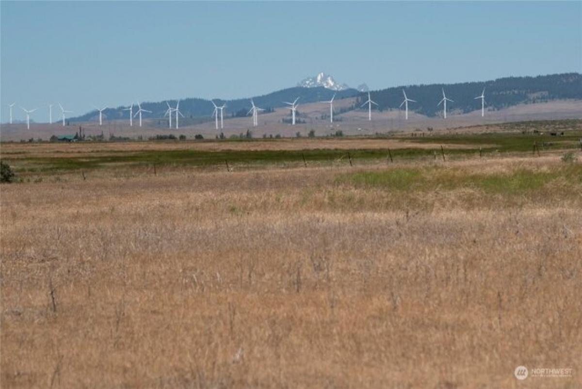 Picture of Residential Land For Sale in Ellensburg, Washington, United States