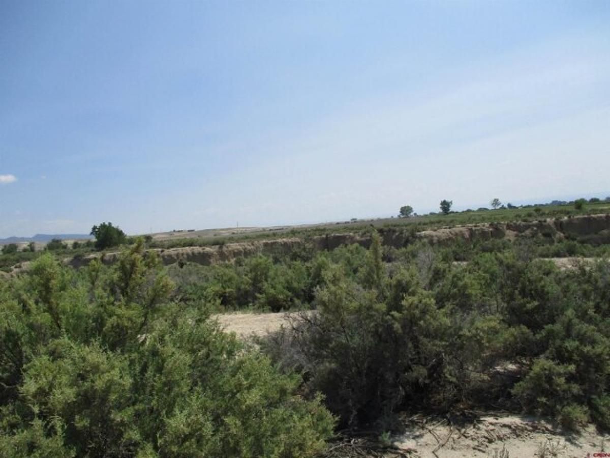 Picture of Residential Land For Sale in Delta, Colorado, United States