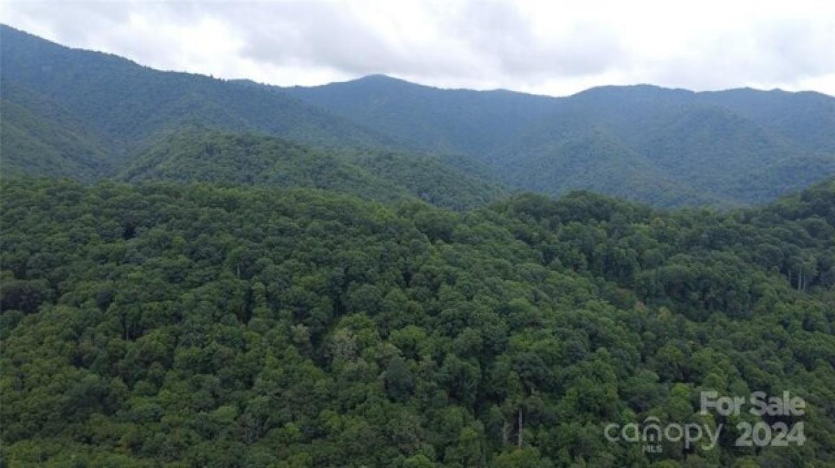 Picture of Residential Land For Sale in Maggie Valley, North Carolina, United States