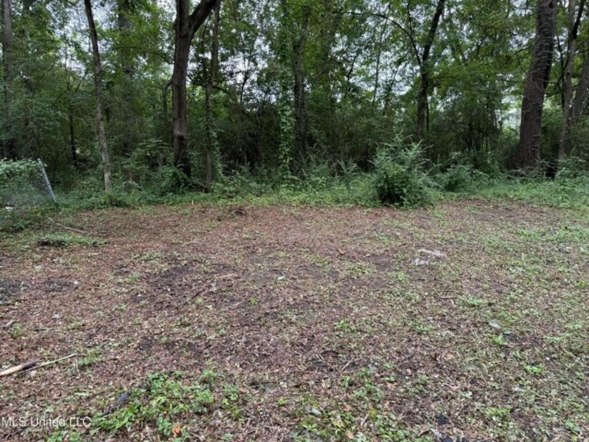 Picture of Residential Land For Sale in Morton, Mississippi, United States