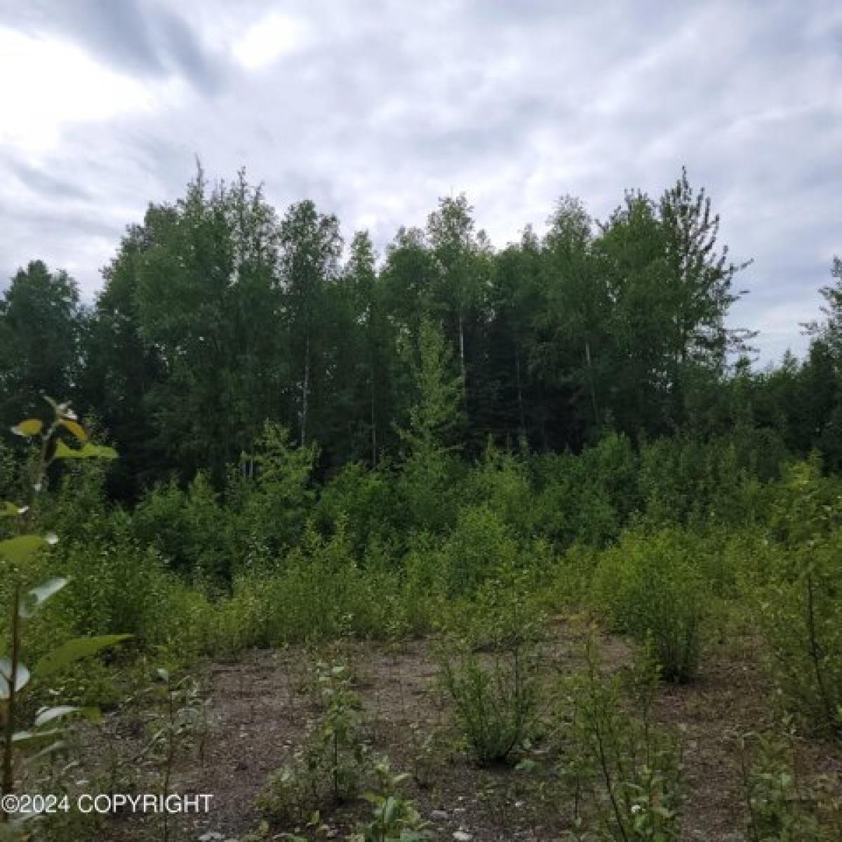 Picture of Home For Sale in Willow, Alaska, United States