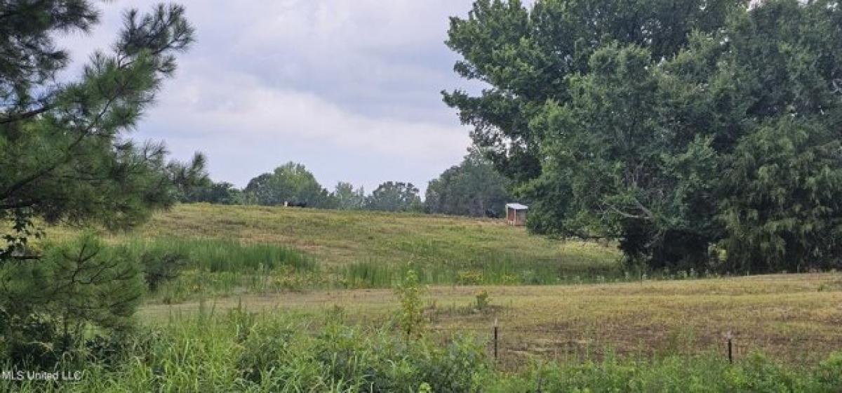 Picture of Residential Land For Sale in Como, Mississippi, United States