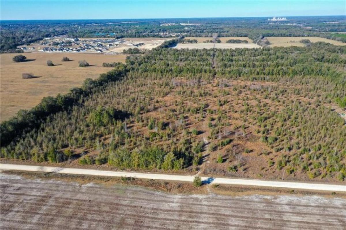 Picture of Residential Land For Sale in Newberry, Florida, United States