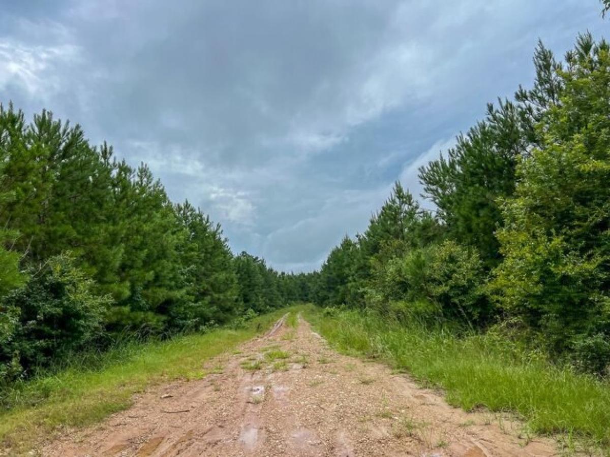 Picture of Residential Land For Sale in Groveton, Texas, United States