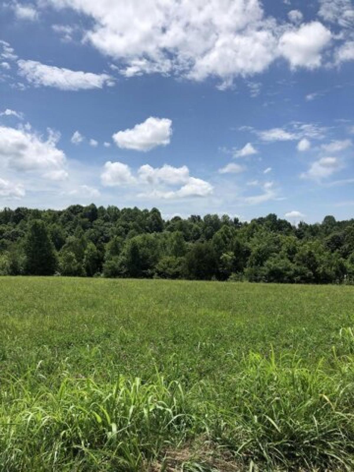 Picture of Residential Land For Sale in Liberty, Kentucky, United States