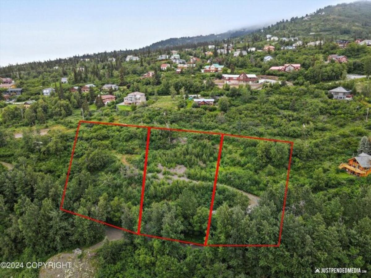 Picture of Residential Land For Sale in Anchorage, Alaska, United States