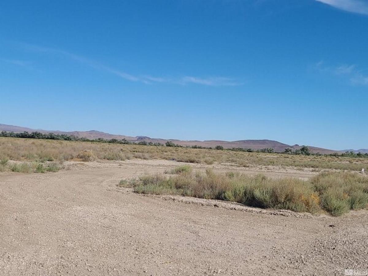 Picture of Residential Land For Sale in Fallon, Nevada, United States