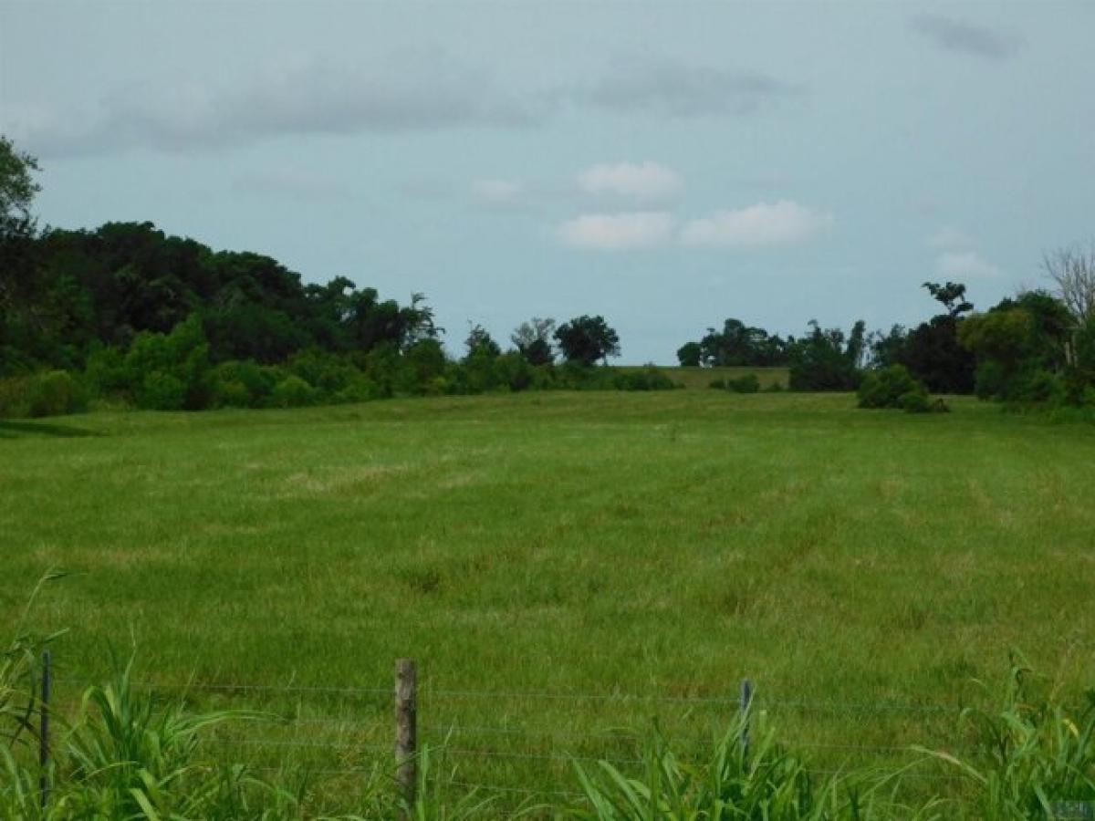 Picture of Residential Land For Sale in Cut Off, Louisiana, United States