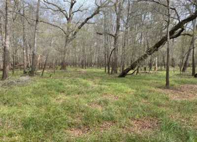 Residential Land For Sale in Centerville, Texas