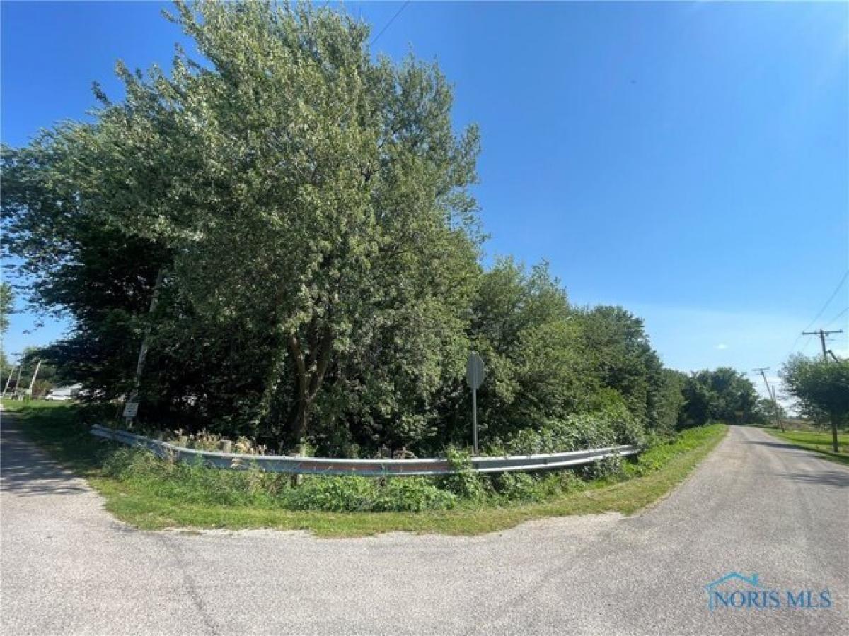 Picture of Residential Land For Sale in Curtice, Ohio, United States