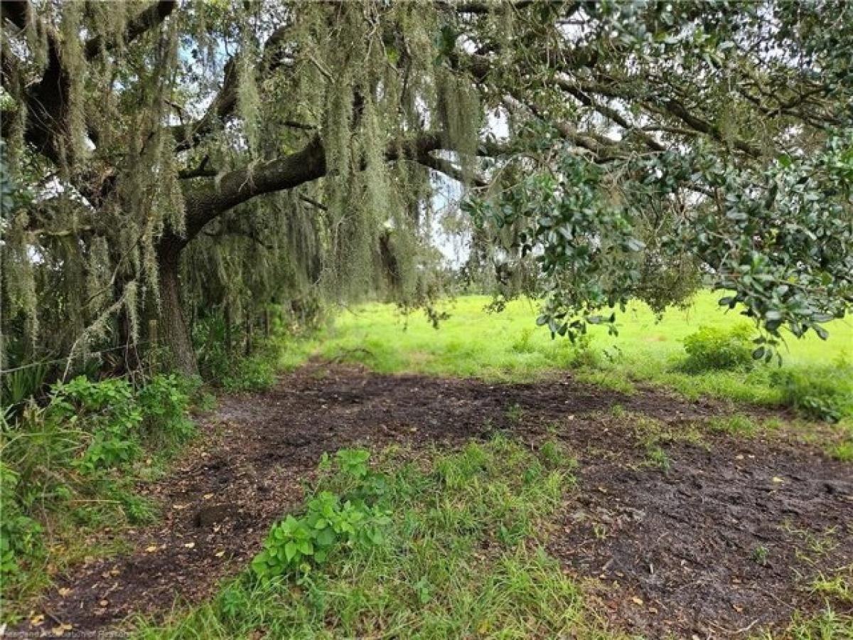 Picture of Residential Land For Sale in Venus, Florida, United States