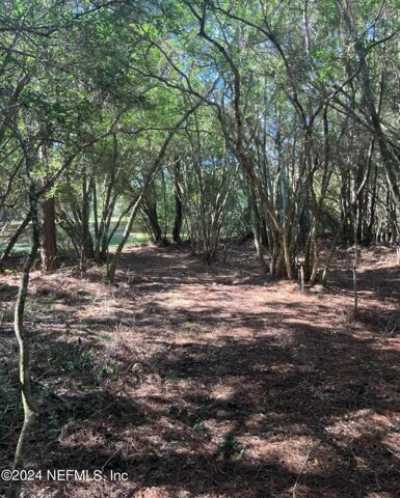 Residential Land For Sale in Earleton, Florida