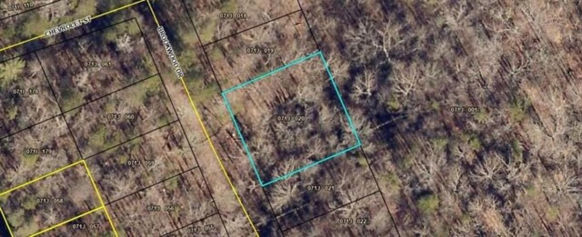 Picture of Residential Land For Rent in Martin, Georgia, United States