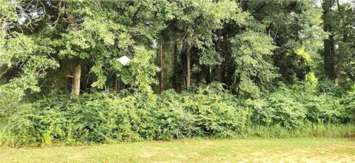 Picture of Residential Land For Sale in Semmes, Alabama, United States