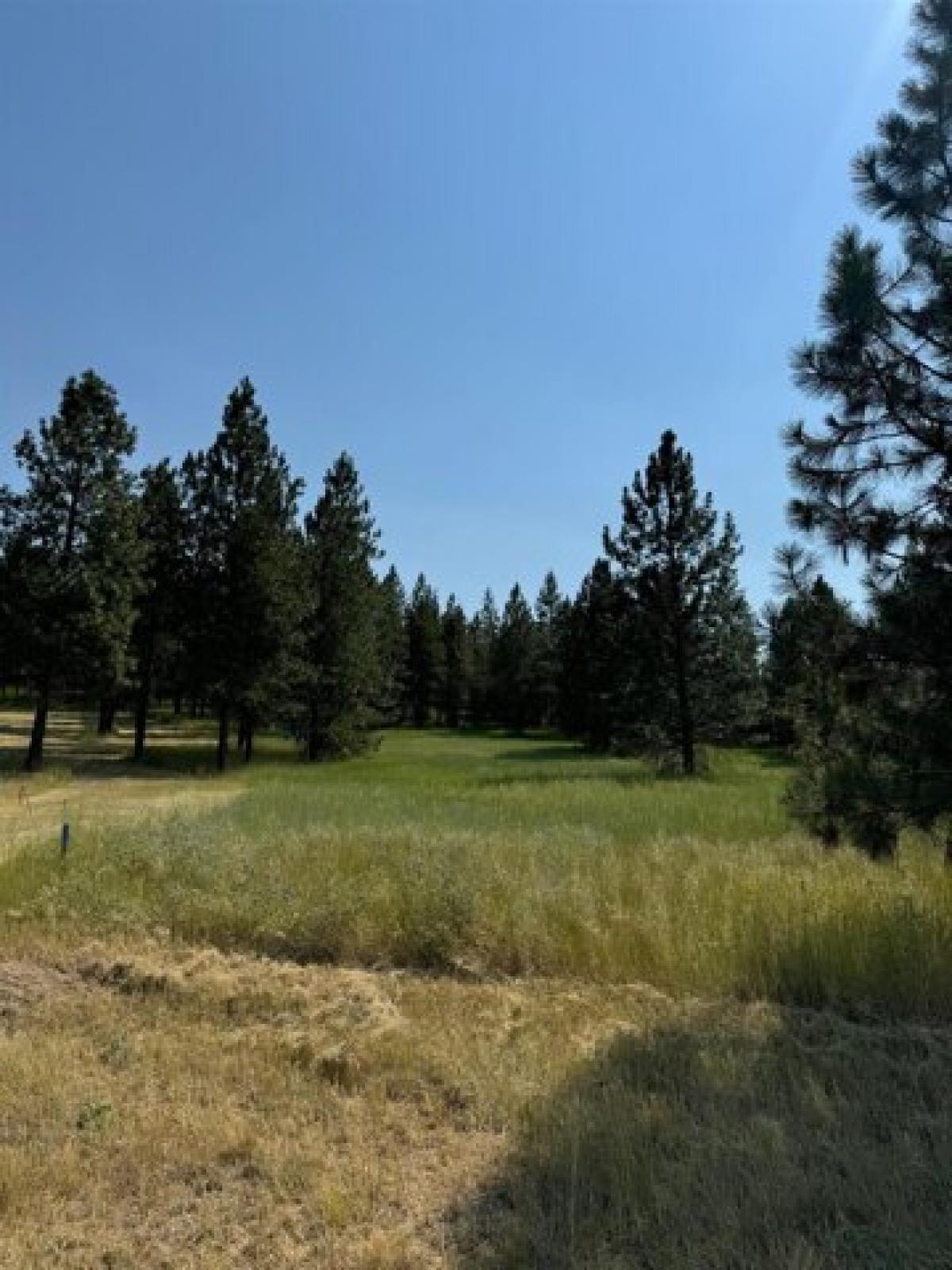 Picture of Residential Land For Sale in Reardan, Washington, United States