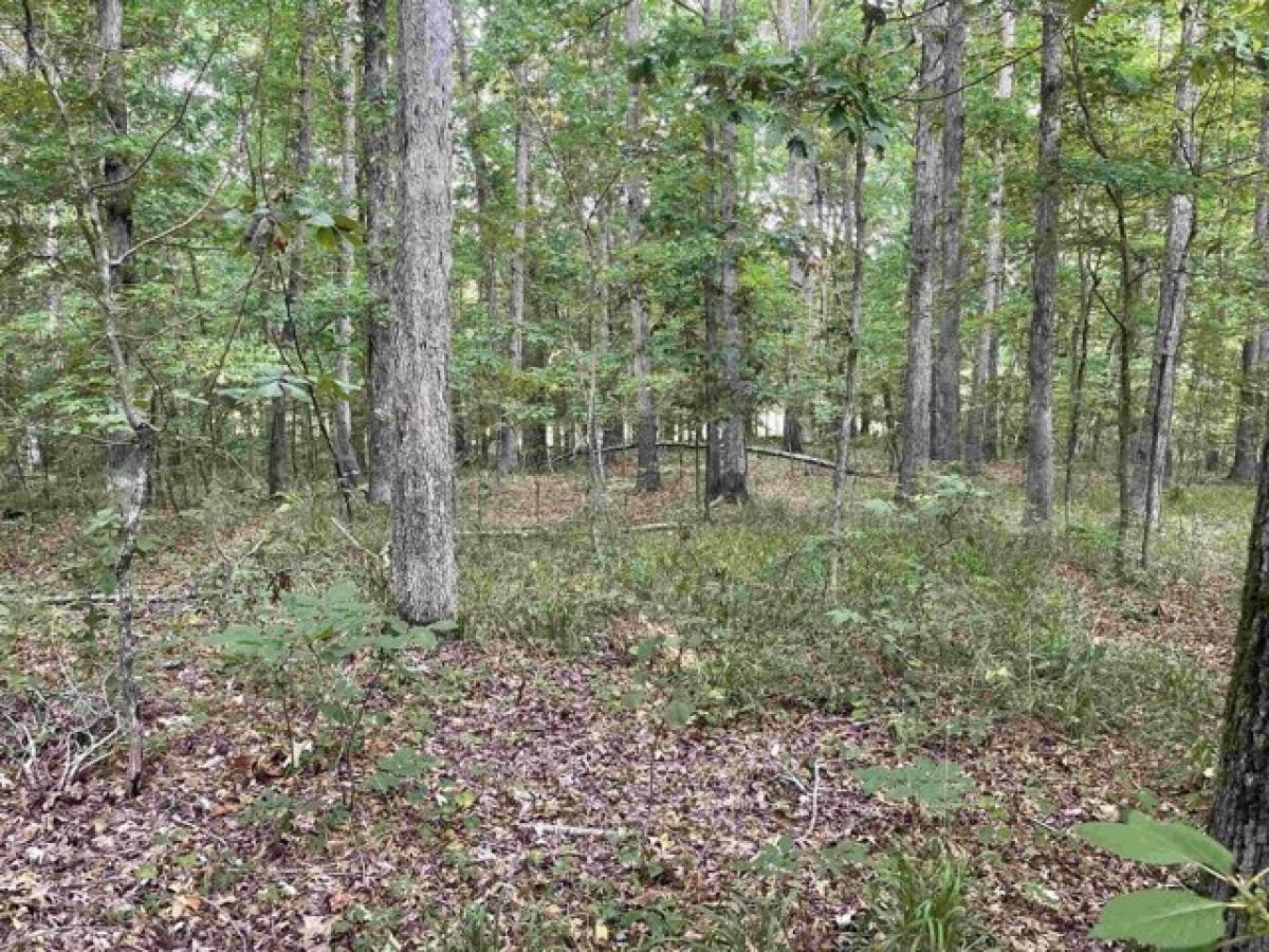 Picture of Residential Land For Sale in Counce, Tennessee, United States