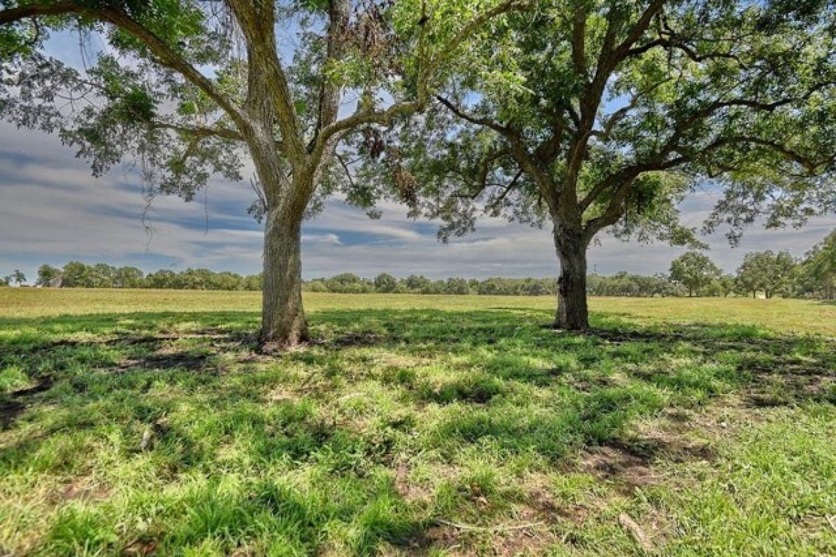 Picture of Residential Land For Sale in Weimar, Texas, United States