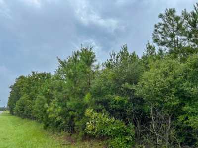 Residential Land For Sale in Groveton, Texas