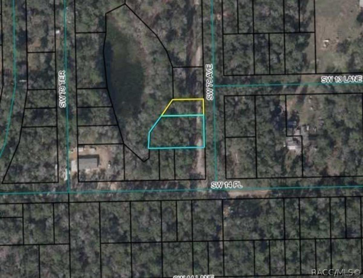 Picture of Residential Land For Sale in Bell, Florida, United States