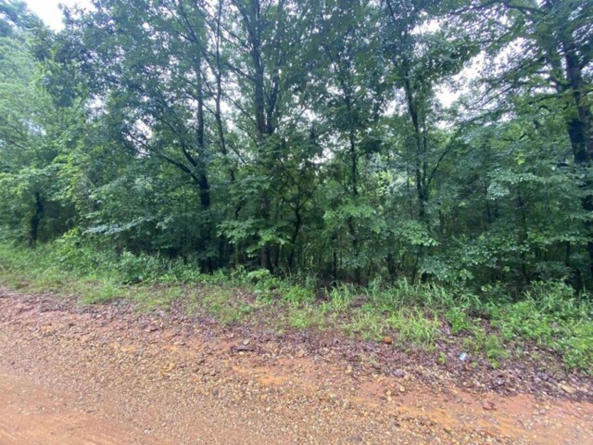 Picture of Residential Land For Sale in Nashville, Arkansas, United States