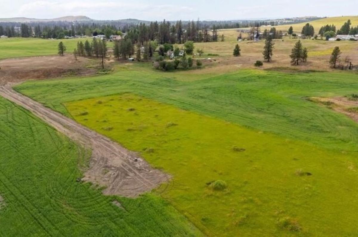 Picture of Residential Land For Sale in Medical Lake, Washington, United States