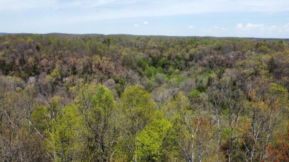 Picture of Residential Land For Sale in Frenchburg, Kentucky, United States