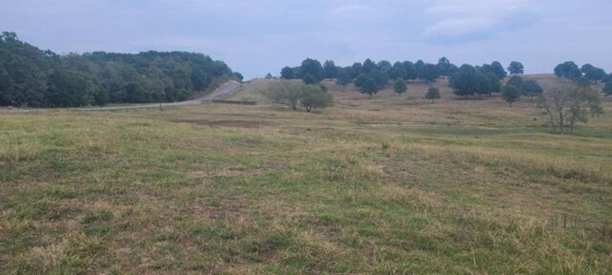 Picture of Residential Land For Sale in Talihina, Oklahoma, United States