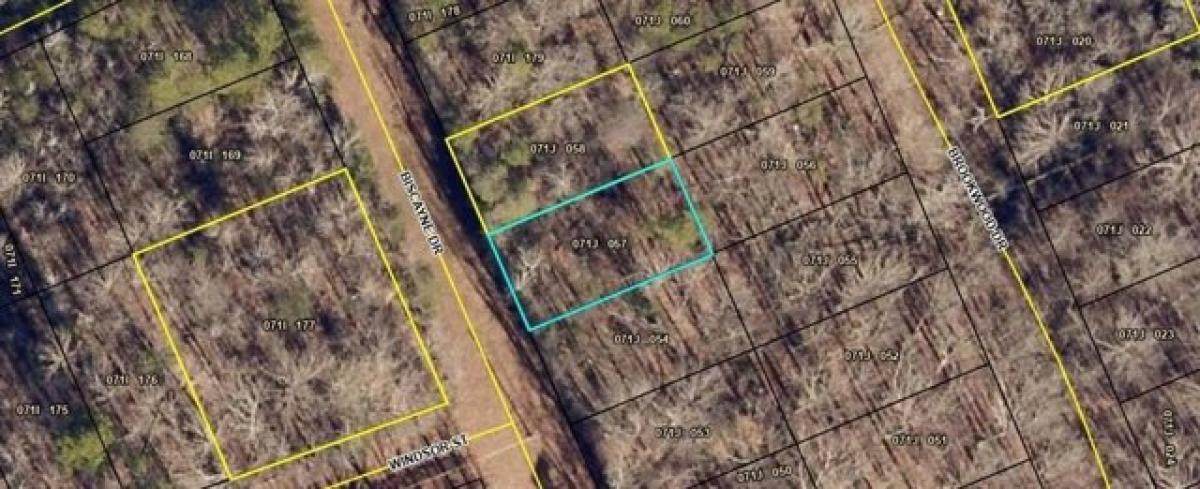 Picture of Residential Land For Rent in Martin, Georgia, United States