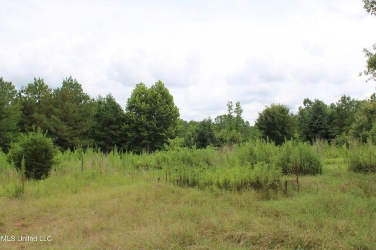 Picture of Residential Land For Sale in Falkner, Mississippi, United States