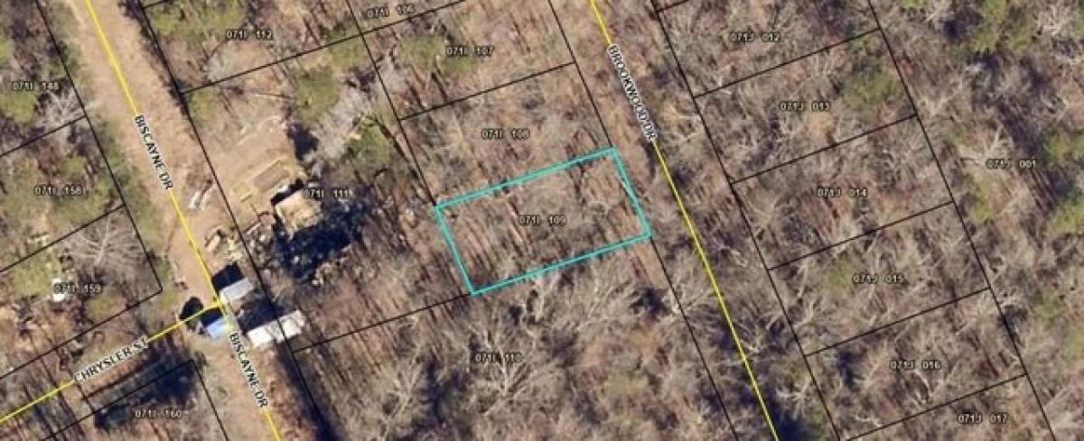 Picture of Residential Land For Rent in Martin, Georgia, United States