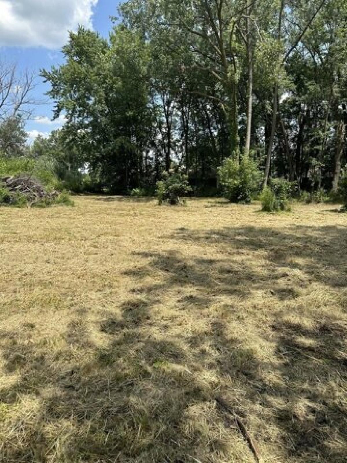 Picture of Residential Land For Sale in Braidwood, Illinois, United States