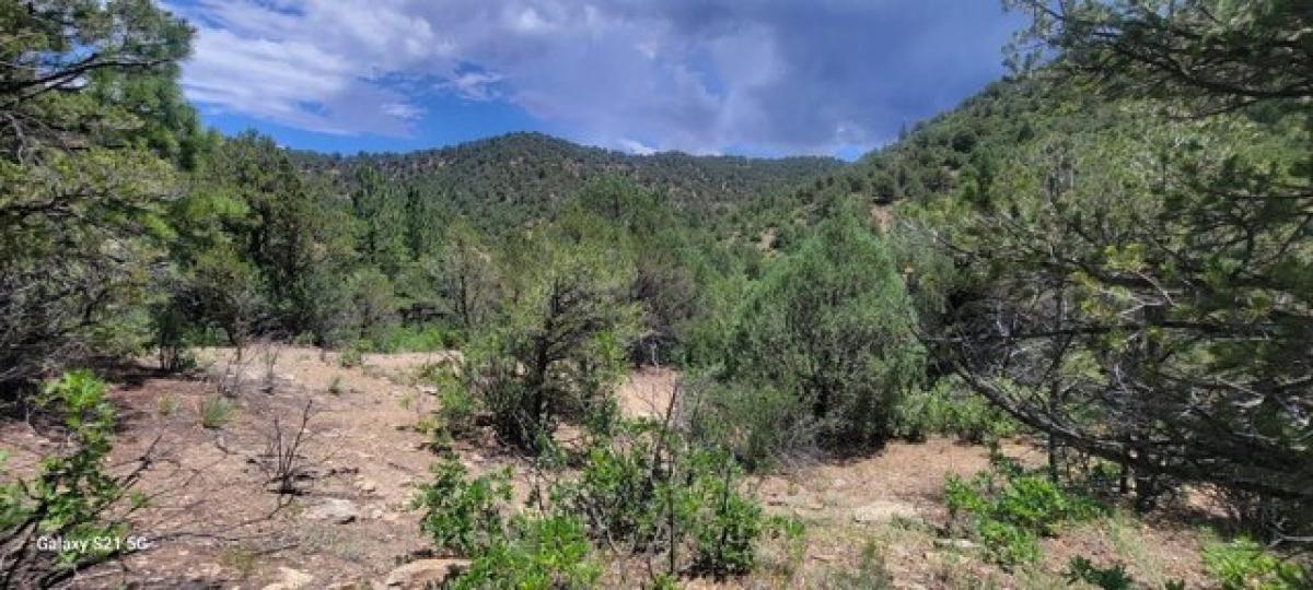 Picture of Residential Land For Sale in Aguilar, Colorado, United States