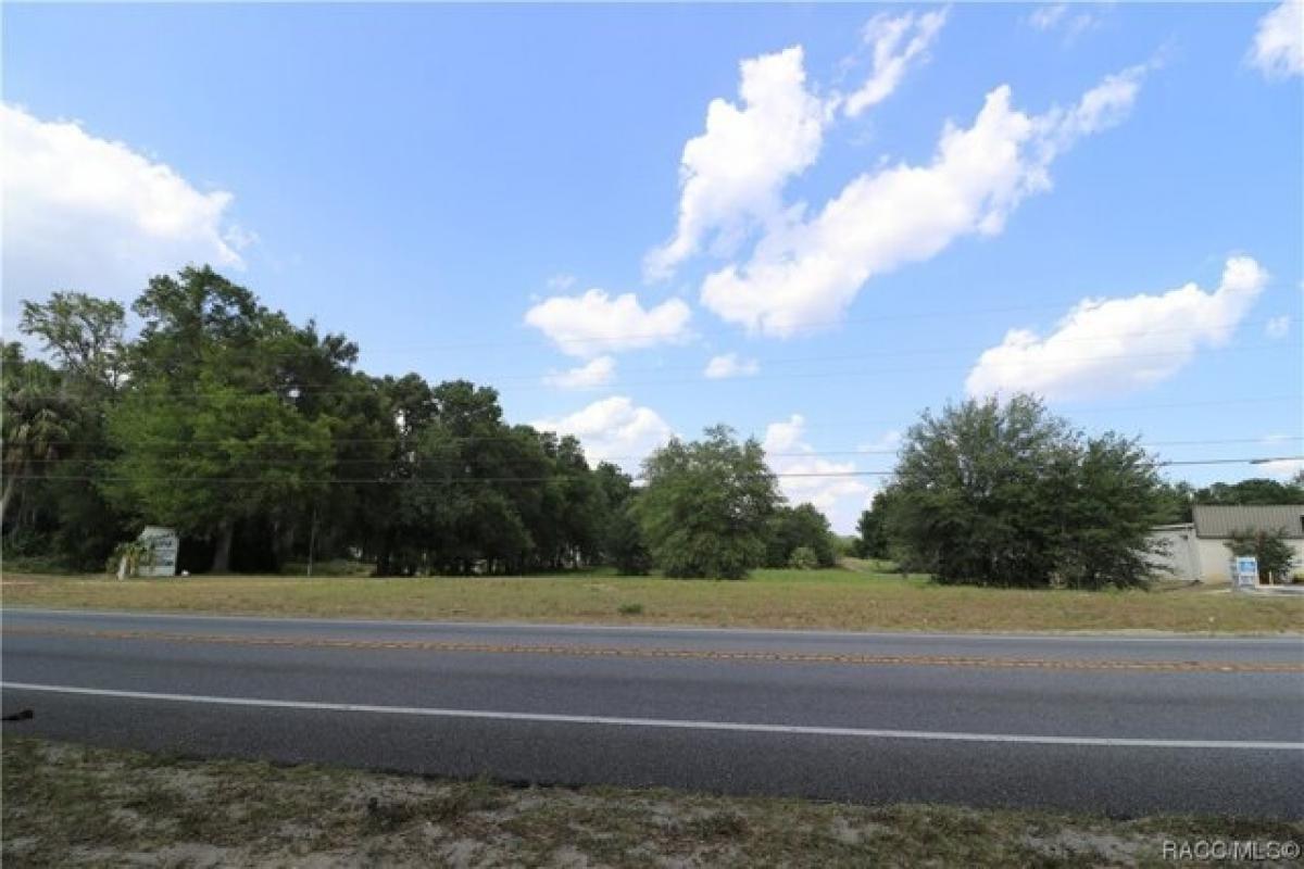 Picture of Residential Land For Sale in Hernando, Florida, United States