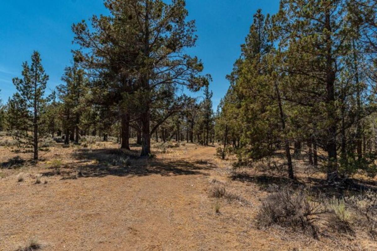 Picture of Residential Land For Sale in Bend, Oregon, United States