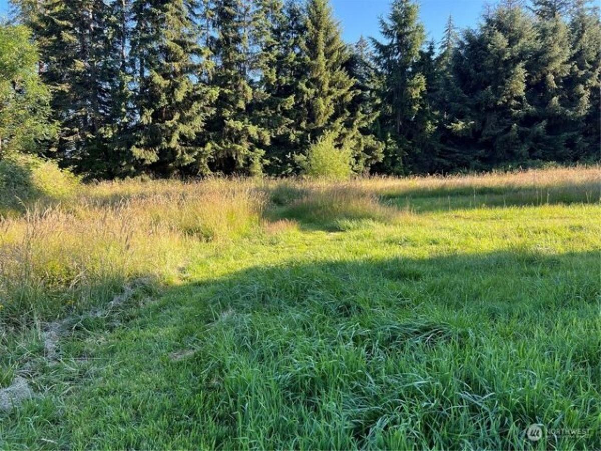 Picture of Residential Land For Sale in Graham, Washington, United States