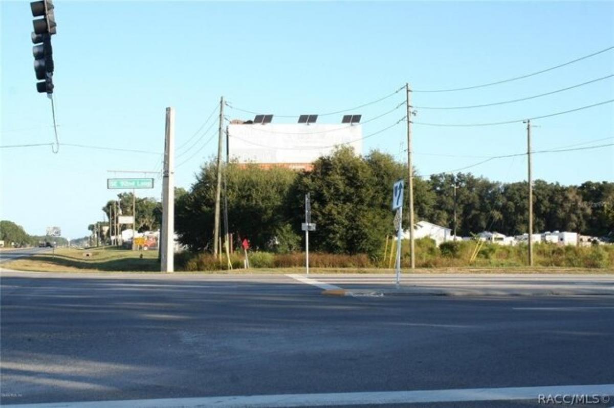 Picture of Residential Land For Sale in Summerfield, Florida, United States