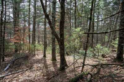 Residential Land For Sale in Friendship, Wisconsin