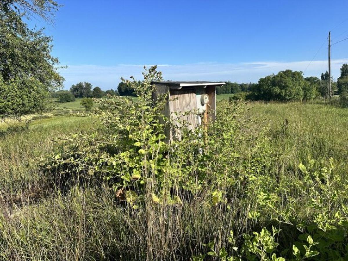 Picture of Residential Land For Sale in Big Rapids, Michigan, United States