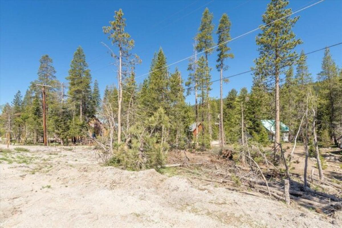 Picture of Residential Land For Sale in Soda Springs, California, United States