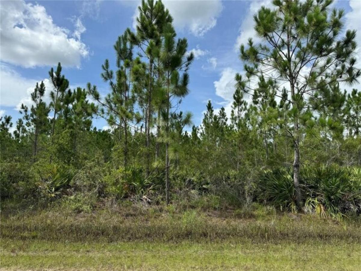 Picture of Residential Land For Sale in Indian Lake Estates, Florida, United States