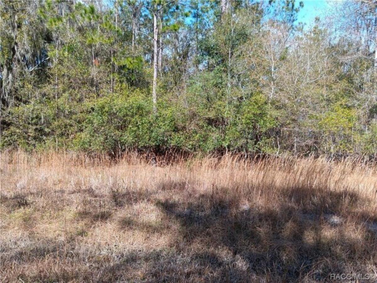 Picture of Residential Land For Sale in Waldo, Florida, United States