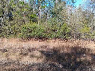 Residential Land For Sale in Waldo, Florida