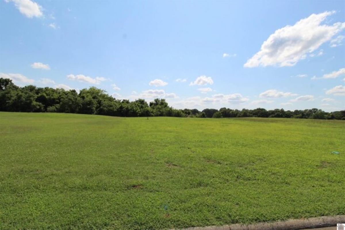 Picture of Residential Land For Sale in Ledbetter, Kentucky, United States